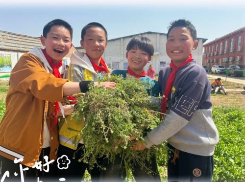 藩鎮(zhèn)中旬小學(xué).jpg